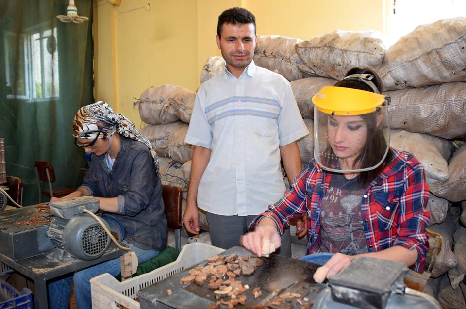 شاهد بالصور.."سُّبحات بيلاجيك" التركية تصنع من ثمار الكوكا 1 14292337_1374349612594736_2864677834882408213_n