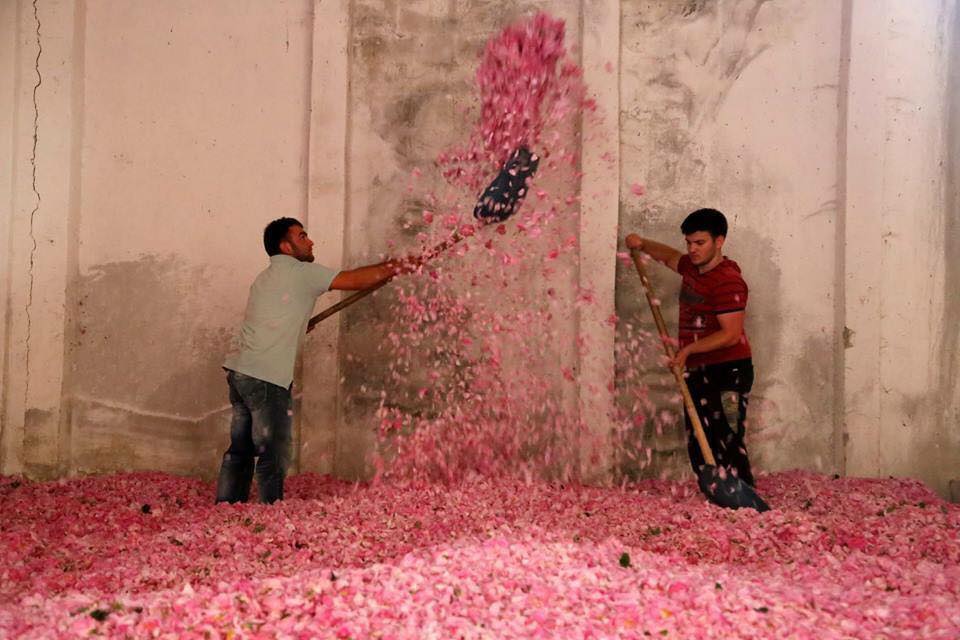 13932756_1069998229762913_4015113343597342799_n