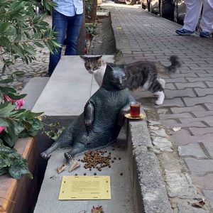 تمثال يخلّد قطاً سميناً في تركيا بعد أسابيع من رحيله