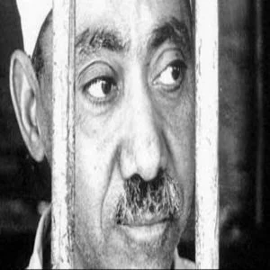 ندوة عالمية بإسطنبول بخمسينية رحيل سيد قطب