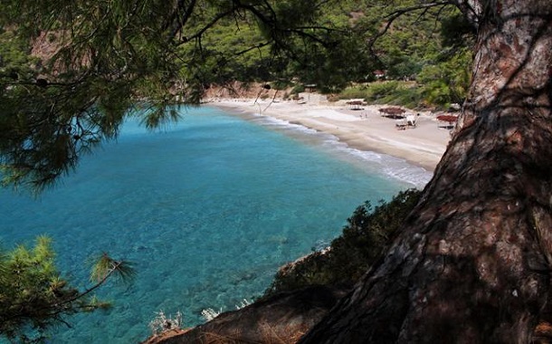 kabak-koyu