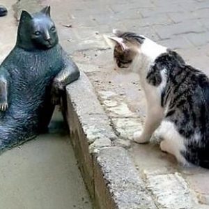 تمثال يخلّد قطاً سميناً في تركيا بعد أسابيع من رحيله 8 تمثال يخلّد قطاً سميناً في تركيا بعد أسابيع من رحيله 7