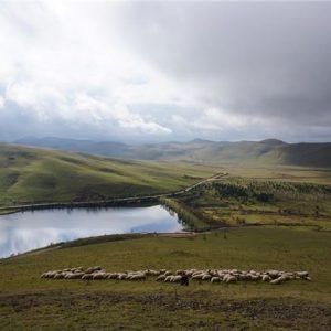 "أوردو".. "زاوية الجنة" على أرض تركيا 1