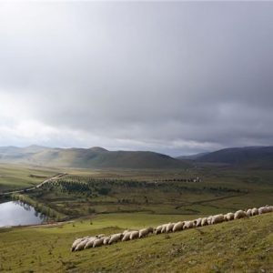 "أوردو".. "زاوية الجنة" على أرض تركيا 19