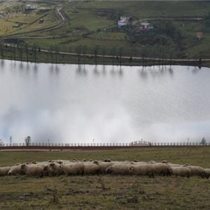 "أوردو".. "زاوية الجنة" على أرض تركيا 21