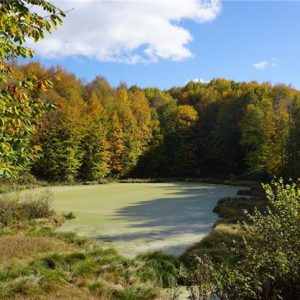 "أوردو".. "زاوية الجنة" على أرض تركيا 3