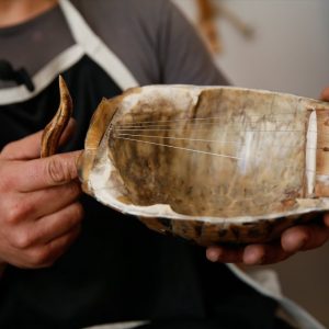 موسيقي تركي يصنع آلاته من درع السلحفاة 1