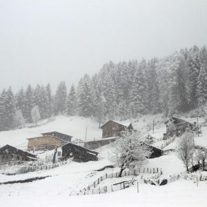 الثلوج تغطي مرتفعات “ريزا” والبيوت القروية الهادئة 3