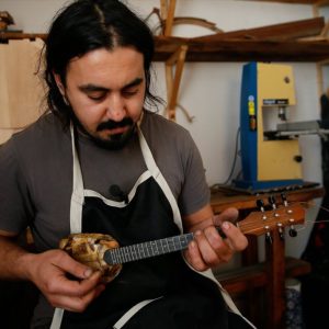 موسيقي تركي يصنع آلاته من درع السلحفاة 11