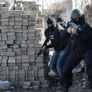 الامن التركي يقتل عنصرين اثنين من “بي كا كا” الارهابية جنوب شرقي البلاد