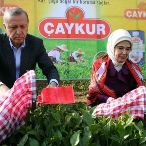 تركيا تصدر الشاي لـ86 دولة حول العالم