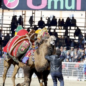 بالصور انطلاق أكبر مسابقة مصارعة جمال في منطقة المتوسط بمدينة أنطاليا التركية 5