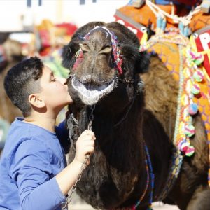بالصور انطلاق أكبر مسابقة مصارعة جمال في منطقة المتوسط بمدينة أنطاليا التركية 11