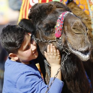 بالصور انطلاق أكبر مسابقة مصارعة جمال في منطقة المتوسط بمدينة أنطاليا التركية 13