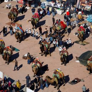 بالصور انطلاق أكبر مسابقة مصارعة جمال في منطقة المتوسط بمدينة أنطاليا التركية 17