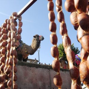 بالصور انطلاق أكبر مسابقة مصارعة جمال في منطقة المتوسط بمدينة أنطاليا التركية 23