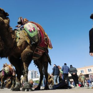 بالصور انطلاق أكبر مسابقة مصارعة جمال في منطقة المتوسط بمدينة أنطاليا التركية 25