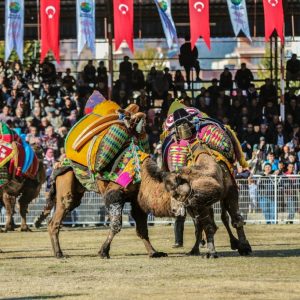 بالصور انطلاق أكبر مسابقة مصارعة جمال في منطقة المتوسط بمدينة أنطاليا التركية 27