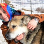 شرقي تركيا.. الكلاب أيضاً ترتدي المعاطف في الشتاء 4 شرقي تركيا.. الكلاب أيضاً ترتدي المعاطف في الشتاء 3