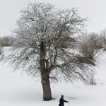 منطقة البحر الاسود شمال تركيا.. مزيج مميز بين اللونين الابيض و الاخضر 1