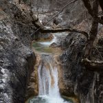 منطقة البحر الاسود شمال تركيا.. مزيج مميز بين اللونين الابيض و الاخضر 5
