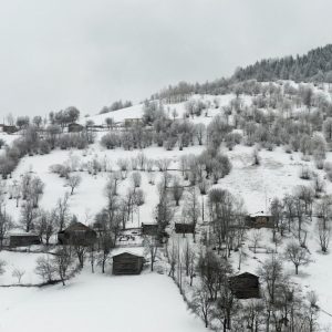 منطقة البحر الاسود شمال تركيا.. مزيج مميز بين اللونين الابيض و الاخضر