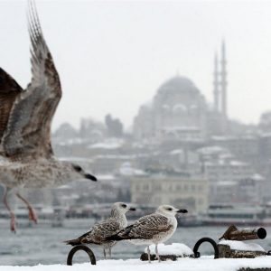 ثلوج اسطنبول بين الماضي و الحاضر 13