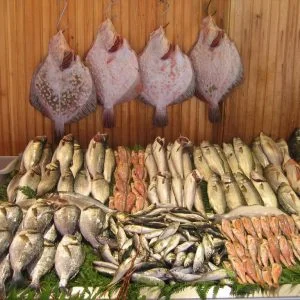 الأحياء المائية التركية تغزو الأسواق الدولية