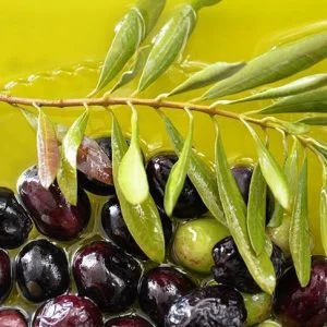 تركيا تصدر الزيت إلى “عواصم الزيتون”