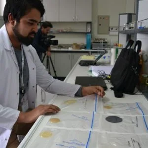 اكتشاف تركي جديد : حشرة تساعد على خسارة الوزن