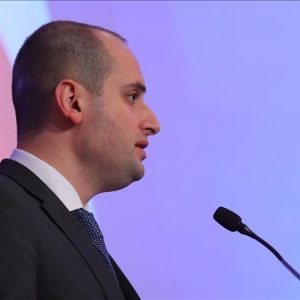 وزير خارجية جورجيا: تركيا ستجني ثمار كفاحها ضد الإرهاب