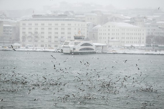 شاهد الثلوج تغلق مضيق البوسفور 4 شاهد الثلوج تغلق مضيق البوسفور 3