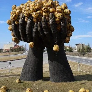 “قضامة توشانلي” التركية.. تغزو الأسواق الخارجيةو تحصد الجوائز