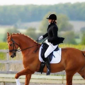 لاول مرة في تركيا.. تنظيم دوري الفروسية للأطفال على أحصنة البوني في إسطنبول