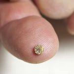 فنان تركي يَخطُّ 25 لوحة على نصف حبة عدس 13