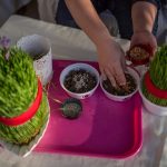 تعرف على الـ”سماني” هدية أعياد “النوروز” في الأناضول التركي 4 تعرف على الـ”سماني” هدية أعياد “النوروز” في الأناضول التركي 3