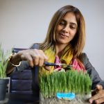 تعرف على الـ”سماني” هدية أعياد “النوروز” في الأناضول التركي 8 تعرف على الـ”سماني” هدية أعياد “النوروز” في الأناضول التركي 7