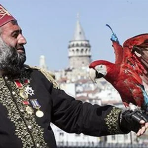 جيهان وببغائه يُضفيان جمالًا على شوارع إسطنبول