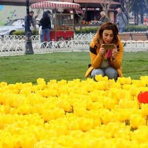 إسطنبول تتزين بـ10 ملايين زهرة من التوليب