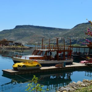 مدينة "الورود السوداء" التركية تستعد لاستقبال زوارها 3