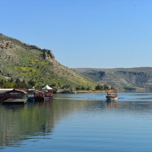 مدينة "الورود السوداء" التركية تستعد لاستقبال زوارها 5