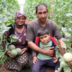 مرسين التركية تجني أول ثمار الشمّام 5