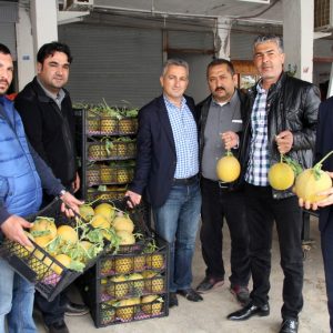 مرسين التركية تجني أول ثمار الشمّام