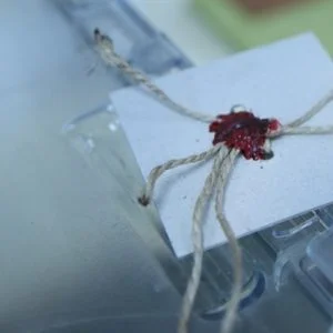 الحكومة التركية: لم نحصل على ما نريده