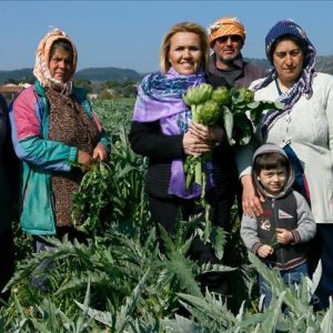بلدية تركية تعتزم التعريف بنبتة “خرشوف سكوليمي” في مهرجان دولي