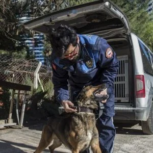 كلب بوليسي يضبط 5.5 طن مخدرات في غازي عنتاب التركية