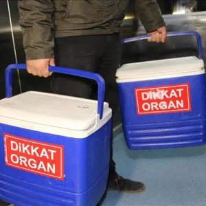 مواطنة تركية سلمت روحها لبارئها ومنحت الحياة لـ6 مرضى