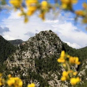 ألانيا التركية تجذب الزوار بخان وقلعة