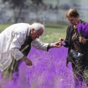 لقطات ساحرة لزهور برية متنوعة في ولاية بولو التركية