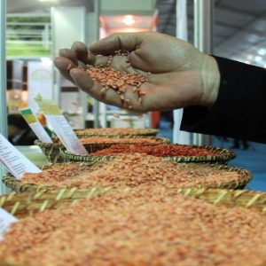 721 مليون دولار حصيلة صادرات تركيا من الحبوب خلال اربعة شهور